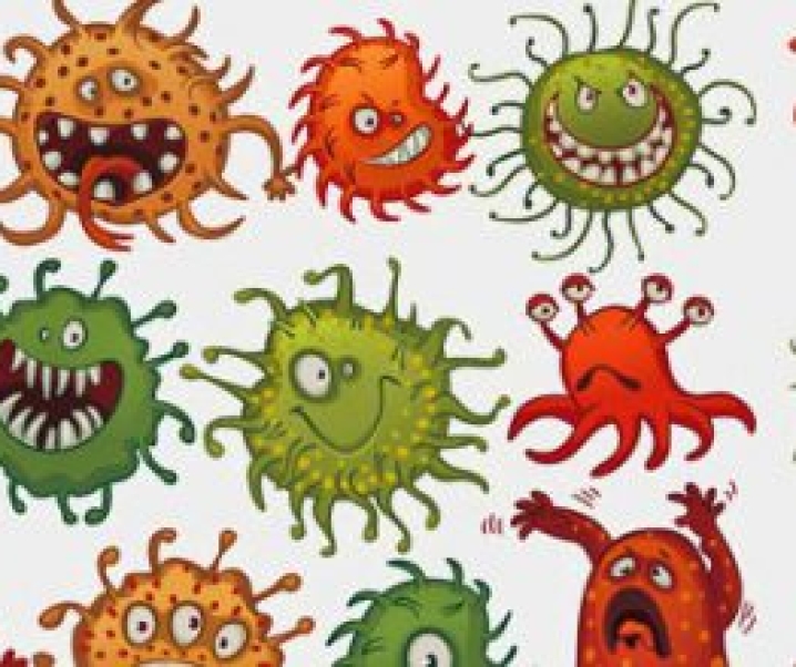 Do Bacteria Have Souls?