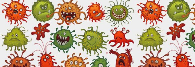 Do Bacteria Have Souls?
