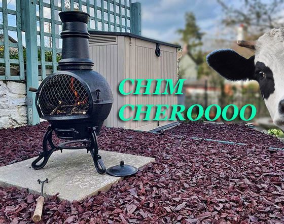 Chim Cheroo